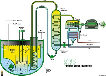 GIF Portal - Sodium-Cooled Fast Reactor (SFR)