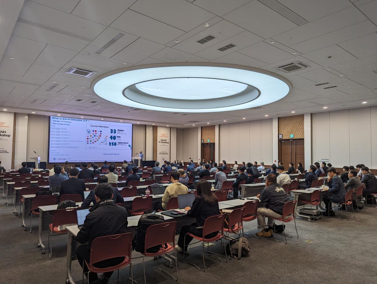 Picture of the meeting room of the NEANH Workshop in Korea on the 26 April 2024